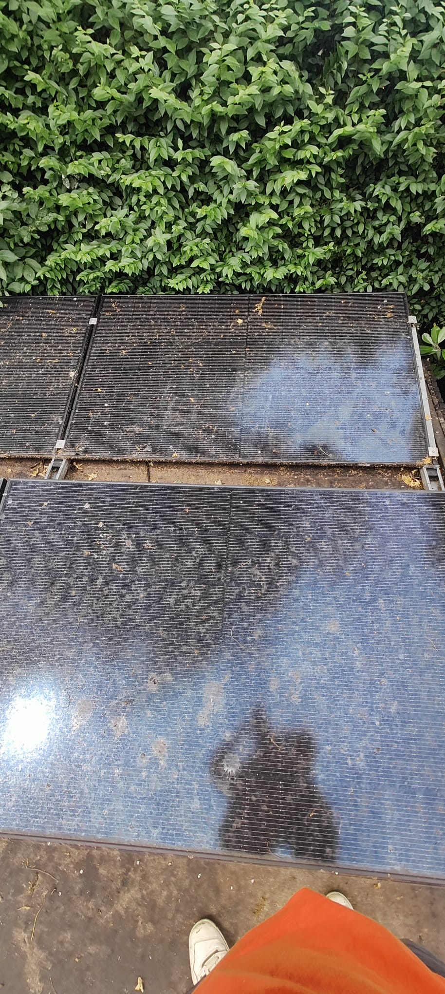 Panneaux solaires après nettoyage