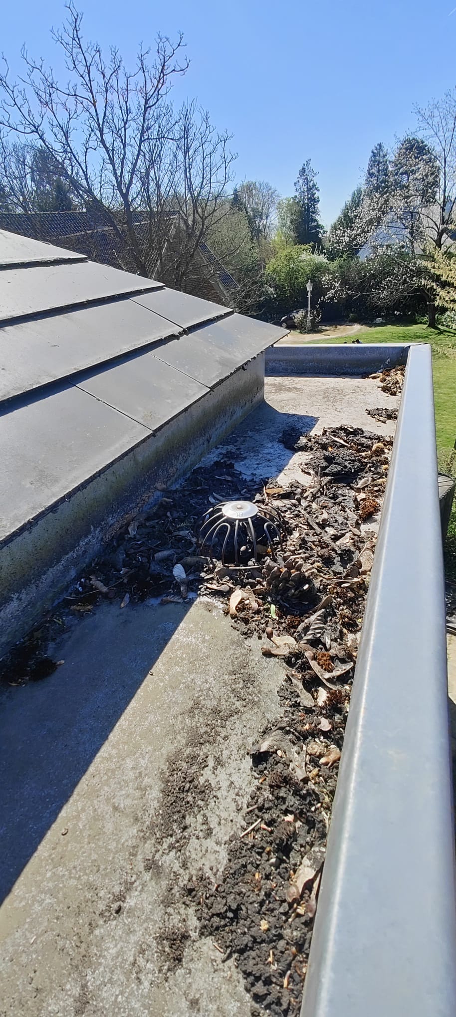 Corniches après nettoyage